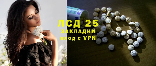 spice Аркадак