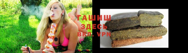 spice Аркадак