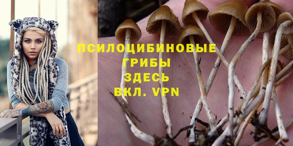 каннабис Арсеньев