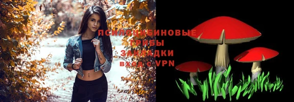 каннабис Арсеньев